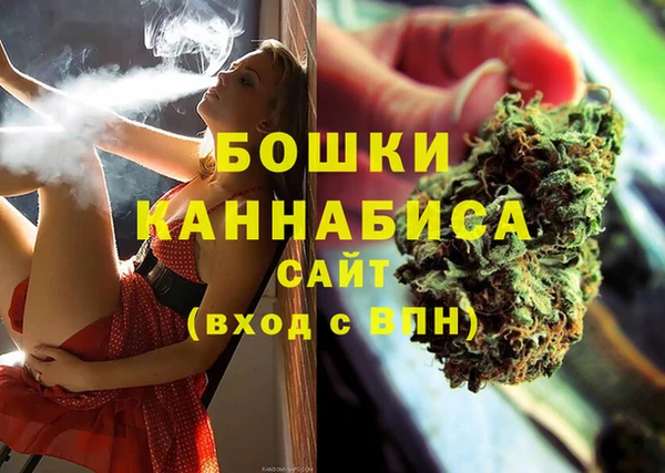 дживик Алапаевск