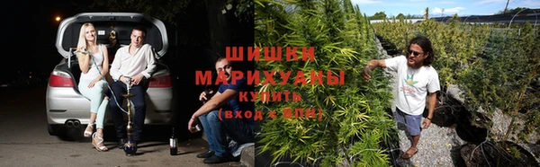 таблы Нея